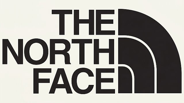 the north face logo